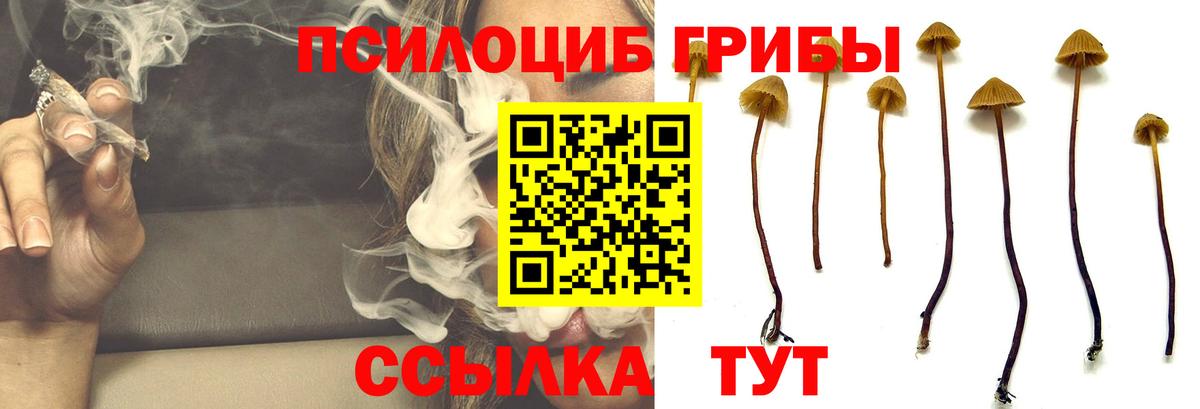 Галлюциногенные грибы GOLDEN TEACHER Химки